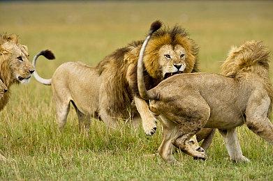 知名舅舅爆料《GTA6》不太可能在明年5月发售