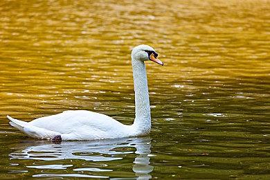 失眠组多款Oculus Rift VR游戏已在Meta商店下架