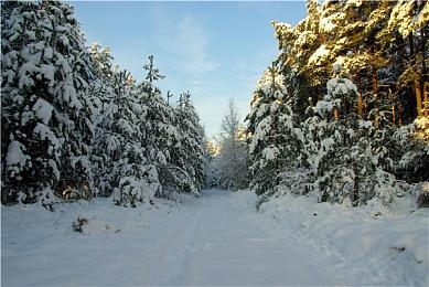 Fami通新一周销量榜 《新美妙世界》登顶